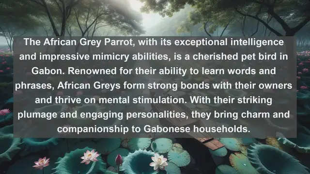 Video thumbnail for Exploring Gabon's Pet Paradise: Top 10 Favorite Pets