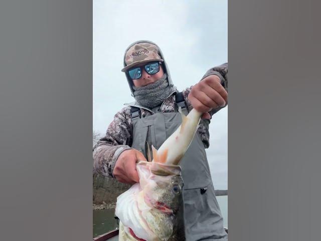 Video thumbnail for 🚨Angler Records and Nets Five-Pounder Choking on Another Bass