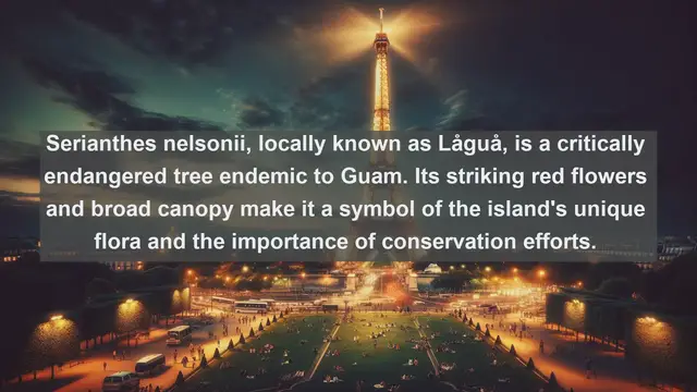 Video thumbnail for Unveiling Guam's Natural Beauty: Top 10 Native Flora You Must See