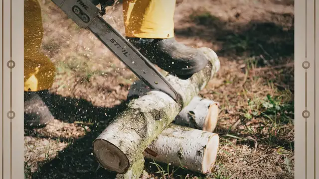 Video thumbnail for Stihl 291 vs 311: Comparison of Top Chainsaws