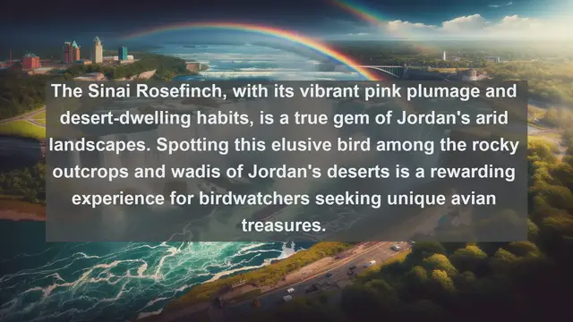 Video thumbnail for Wings of Jordan: Discover the Top 10 Native Birds You Can't Miss!