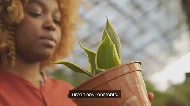 Video thumbnail for Urban Farming Techniques In Small Spaces
