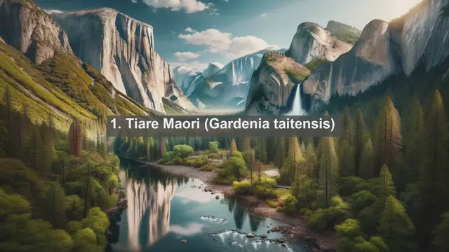Video thumbnail for Discovering Paradise: Top 10 Native Flora of the Cook Islands
