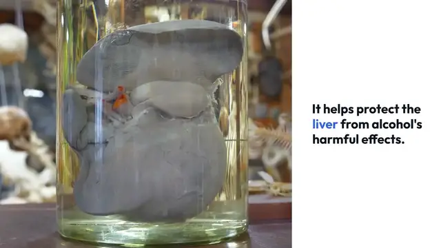 Video thumbnail for Health_Benefits_of_NAC_Supplement