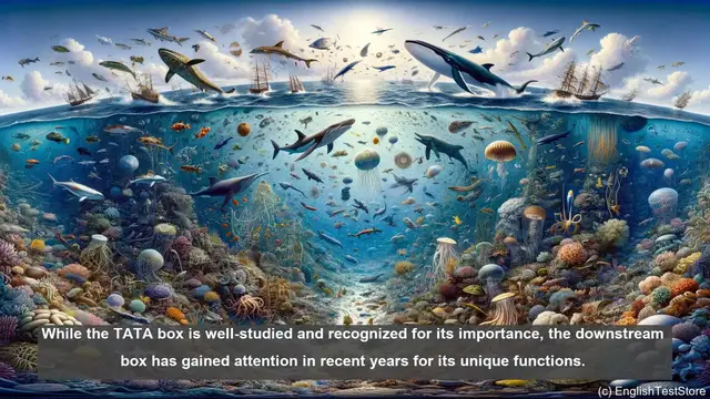 Video thumbnail for Downstream box in biology - meaning, definition and examples