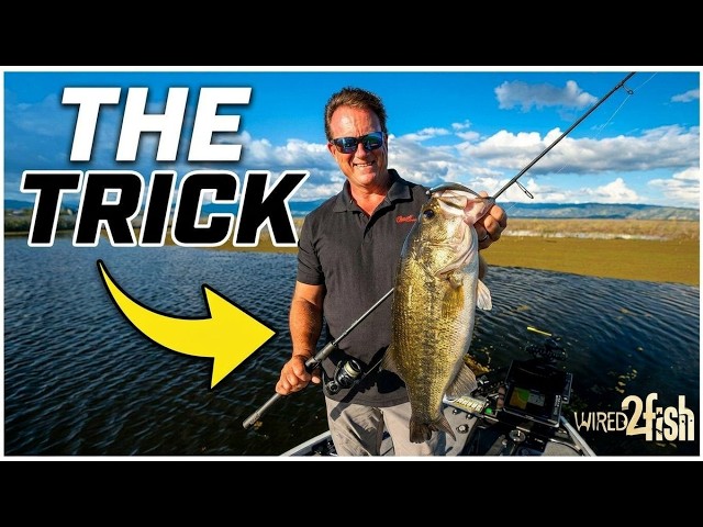Video thumbnail for Skeet Reese's Jig and Minnow Trick for Prespawn Bass