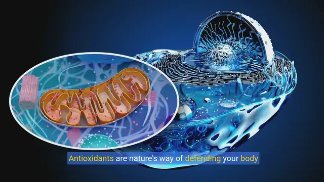 Video thumbnail for Unlocking the Power of Antioxidants: Health Benefits Explained