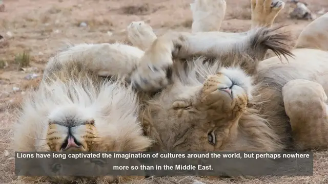 Video thumbnail for 10 Cultural Symbols of Lions in Middle Eastern History