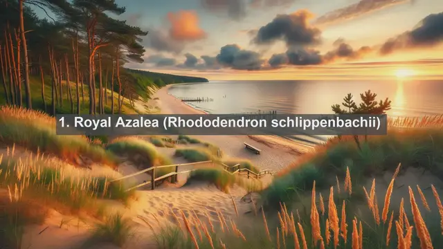 Video thumbnail for Discover the Flora of South Korea: Top 10 Native Plants You Need to Know