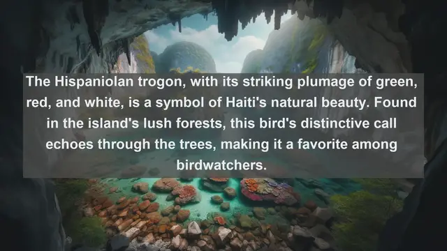 Video thumbnail for Top 10 native birds in Haiti