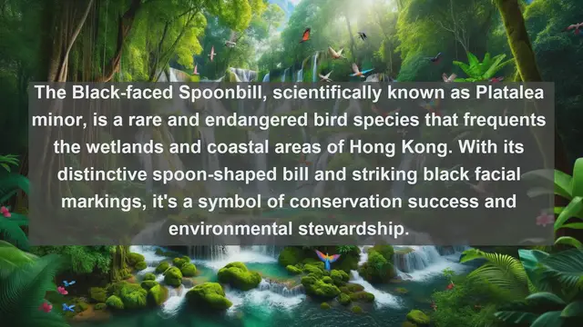 Video thumbnail for Discover the Avian Gems: Top 10 Native Birds in Hong Kong