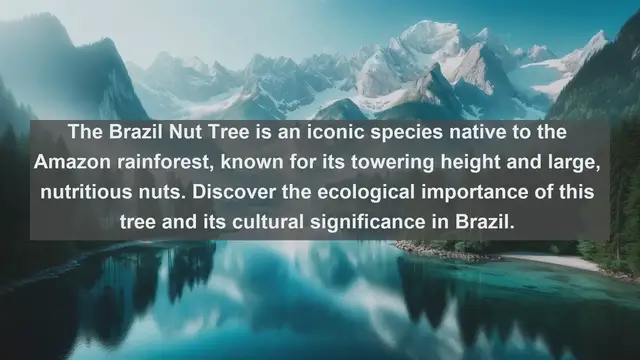 Video thumbnail for Discovering Brazil's Natural Treasures: Top 10 Native Plants
