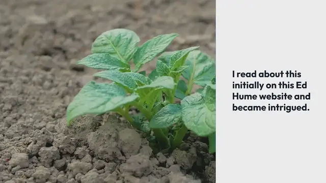 Video thumbnail for GROWING POTATOES IN TIRES
