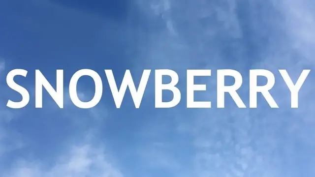 'Video thumbnail for SnowBerry Bonsai, Dug Up From a Garden, 1'