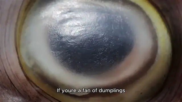 Video thumbnail for Siopao recipe