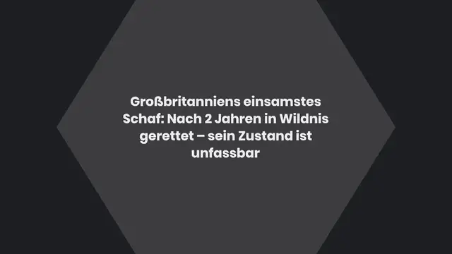 Video thumbnail for Großbritanniens einsamstes Schaf: Nach 2 Jahren in Wildnis gerettet – sein Zustand ist unfassbar