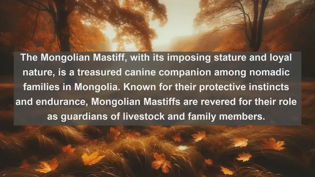 Video thumbnail for Exploring Mongolia's Most Beloved Companions: Top 10 Favorite Pets Unveiled