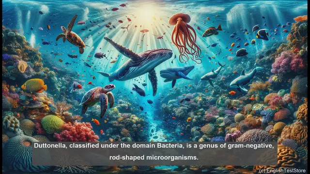 Video thumbnail for Duttonella in biology - meaning, definition and examples