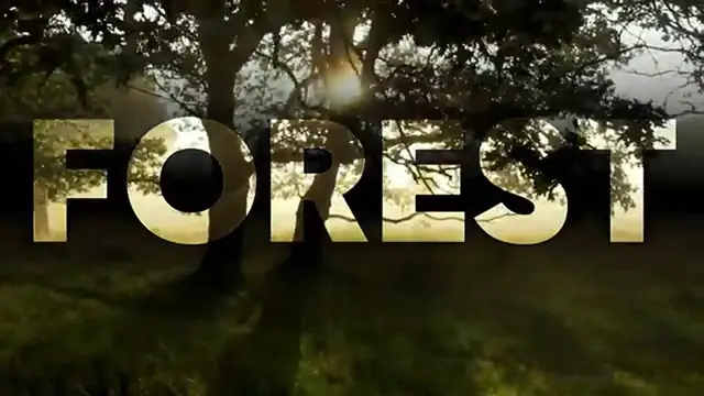 Video thumbnail for CapCut 2024  TEXT Passage Through The Forest - TEXT TRANSITION (AI)