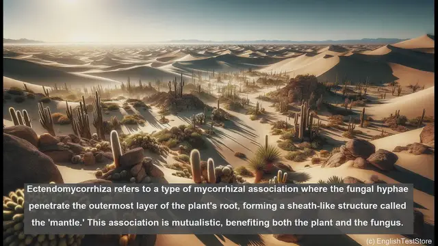 Video thumbnail for Ectendomycorrhiza in biology - meaning, definition and examples