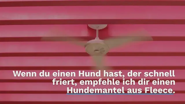 Video thumbnail for Hundemantel Fleece: Die Top 5 Modelle im Test (2024)