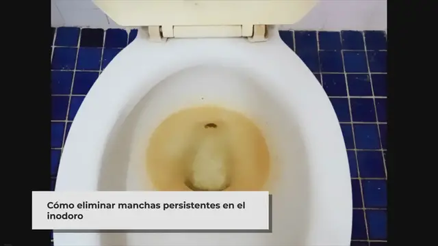 'Video thumbnail for ▷ ¿Cómo limpio un inodoro muy sucio? (causa y prevención)'