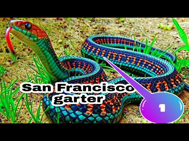 Video thumbnail for WILD SNAKES IN THE WILD WORLD