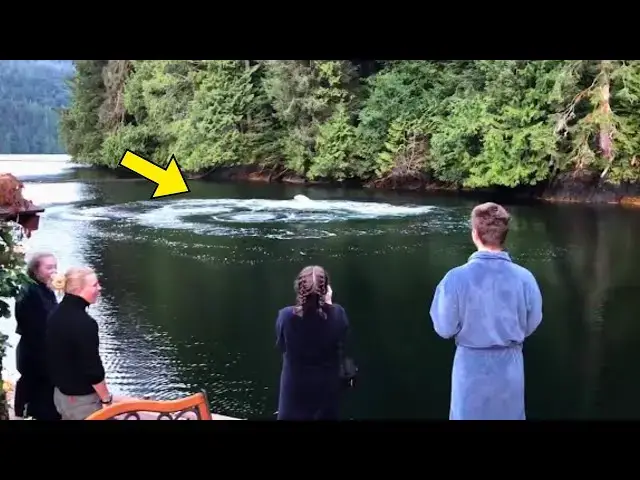 Video thumbnail for Hotel Guests Spot Strange Circles in the Water — What Surfaces Next Leaves Them Frozen