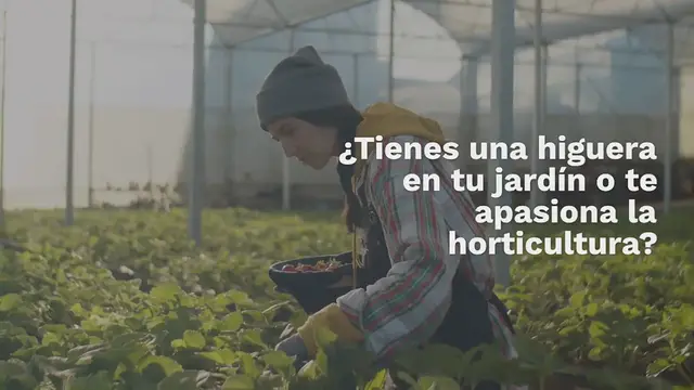 Video thumbnail for Poda de higueras en primavera: todo lo que necesitas saber para podar una Higuera
