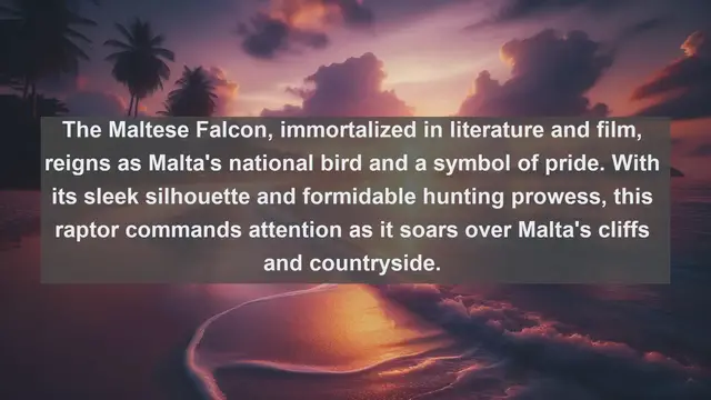 Video thumbnail for Wings of Wonder: Exploring Malta's Top 10 Native Birds