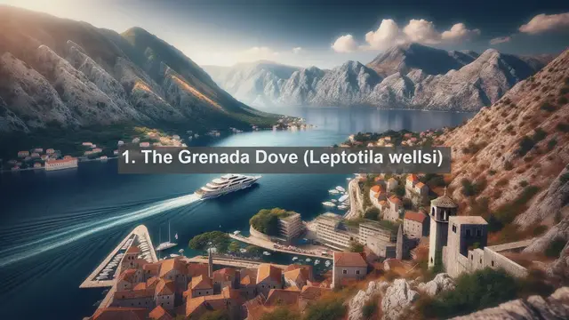 Video thumbnail for Discover Grenada's Avian Treasures: Top 10 Native Birds You Can't Miss