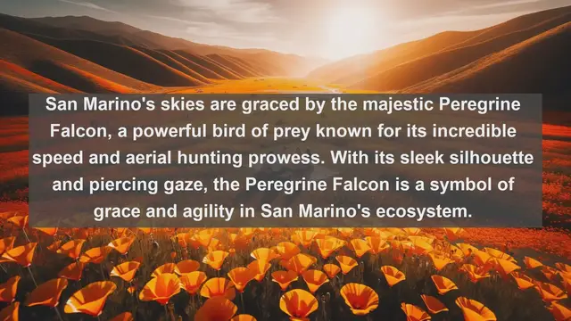 Video thumbnail for Exploring San Marino's Wildlife: Top 10 Native Animals You Need to See!