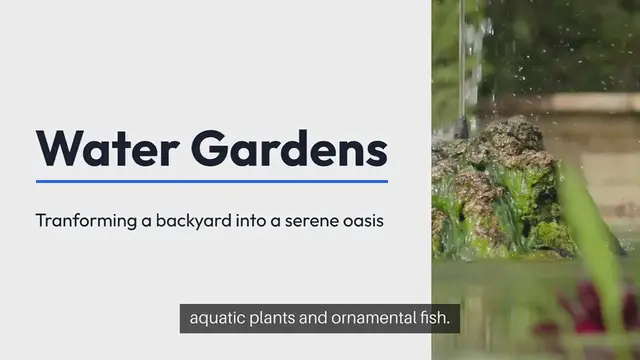 Video thumbnail for Water Garden Design Ideas For Backyards