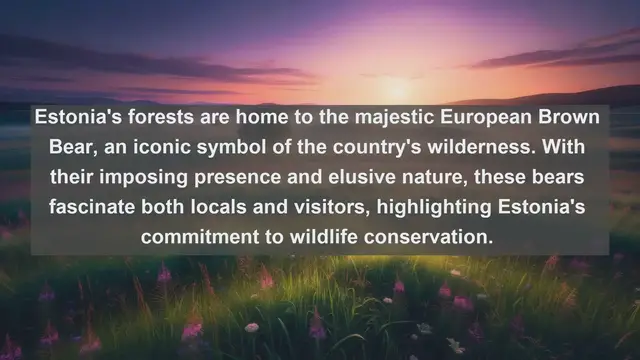 Video thumbnail for Exploring Estonia's Wildlife Wonders: Top 10 Native Fauna