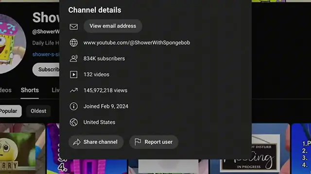 Video thumbnail for I Copied This SpongeBob Channel with 800k Subs using AI