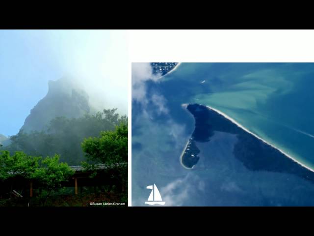 Video thumbnail for Susan Lanier-Graham, Luxe Beat Magazine Featured Contributor