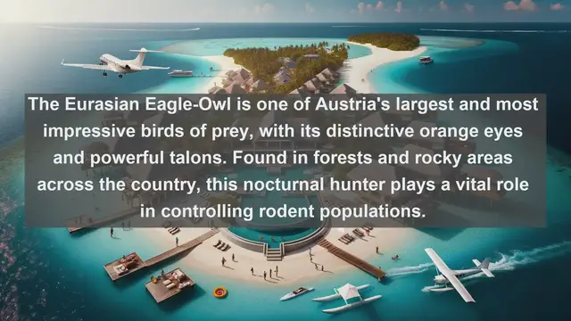 Video thumbnail for Austrian Avian Wonders: Discover the Top 10 Native Birds of Austria!