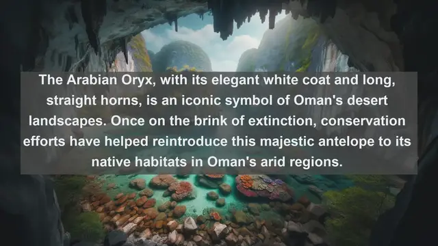 Video thumbnail for Exploring Oman's Wildlife: Top 10 Native Fauna