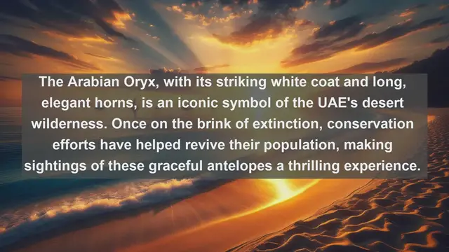 Video thumbnail for Discover the Avian Wonders: Top 10 Native Birds of the United Arab Emirates