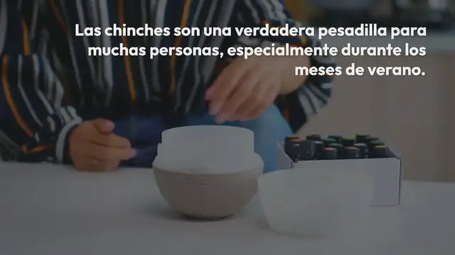 Video thumbnail for Pesadilla para las chinches: aléjalas de casa con estos efectivos remedios naturales