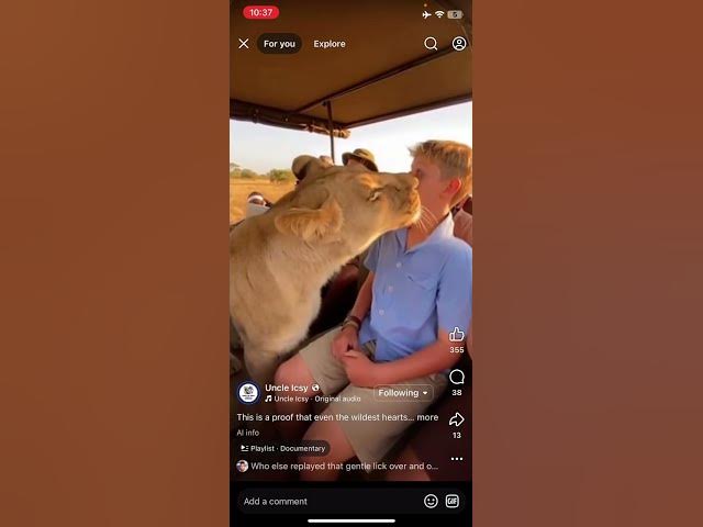 Video thumbnail for Lion’s heart (reaction) #youtubeshorts #cute