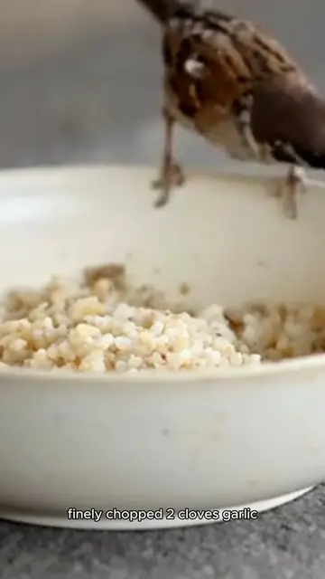 Video thumbnail for arancini recipe