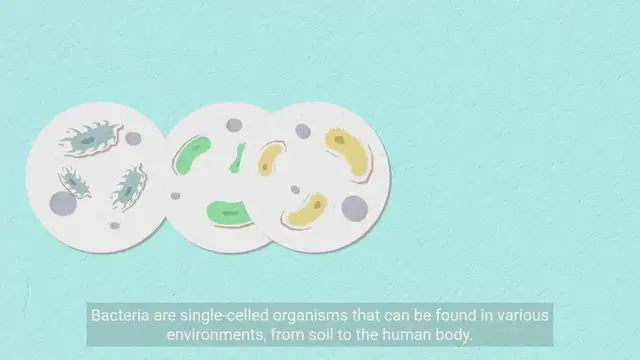 Video thumbnail for Exploring Microorganisms - Bacteria, Viruses, Fungi, and more