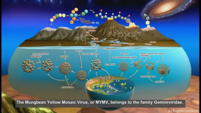 Video thumbnail for Mungbean yellow mosaic virus in biology