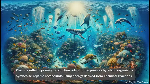 Video thumbnail for Chemosynthetic primary production in biology