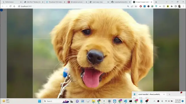Video thumbnail for React.js react-easy-crop Example to Crop,Rotate & Zoom Images & Download it as JPG in Browser