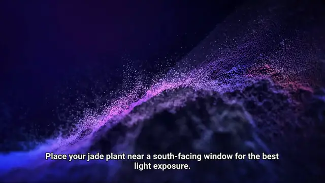 Video thumbnail for Jade Plant Light Requirements
