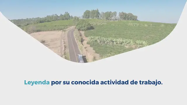 Video thumbnail for La Sprinter 315 CDI viene con furgón.