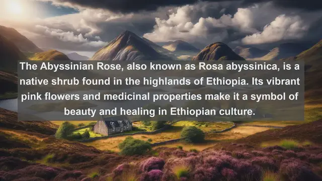 Video thumbnail for Discover the Flora of Ethiopia: Top 10 Native Plants You Need to Know