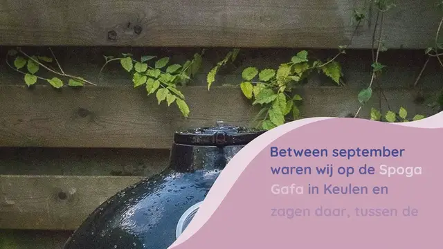 Video thumbnail for Golden’s Cast Iron Cooker review